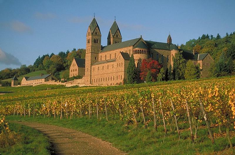 Ferienwohnung Schaefer- Arnold Rüdesheim nad Renem Zewnętrze zdjęcie